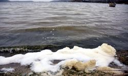 Suyu çekilmeye başlamıştı: Bafa Gölü'nde kirlilik yaşanıyor