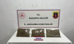Sakarya'da yasaklı madde operasyonunda 1 tutuklama