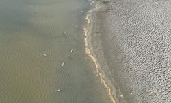 1,8 ton kalkan balığına el konuldu