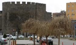 Sıcaklılar birçok ilde 40 dereceyi aştı!