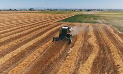 Çiftçilere destek ödemesi: Hesaplara aktarılıyor!