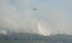 Tekirdağ'daki yangına müdahale sürüyor