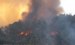 Son Dakika: İzmir'in Menderes ilçesinde orman yangını söndürüldü mü, neden çıktı? İzmir yangınında son durum