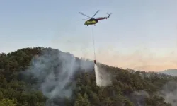 Bolu'da orman yangını!