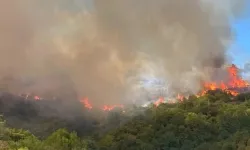 Çanakkale’de orman yangını çıktı!