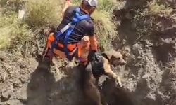 Kuyuya düşen köpek böyle kurtarıldı