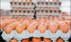 Marketten Yumurta Alan Herkese Kritik Uyarı! Bu Hata Sağlığınızı Tehdit Ediyor