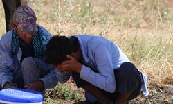 Şanlıurfa kavruluyor: Termometreler 53 dereceyi gösterdi