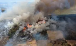 Son Dakika: Bursa Yenişehir ilçesinde orman yangını söndürüldü mü, neden çıktı? Bursa yangınında son durum