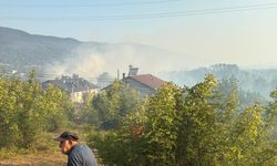 Bartın'da 4 ayrı noktada orman yangını