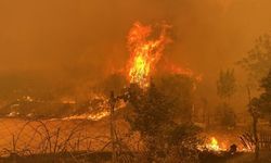 Orman Yangınları Başladı: Bakanlıklar Harekete Geçti! Tüm Riskler Ele Alınacak...