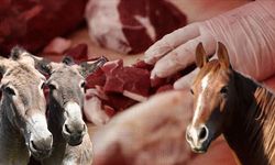 Gıdada yeni bir skandal daha! Bakanlık Duyurdu: Bazı ürünlerde eşek eti bulundu