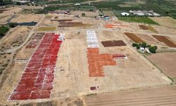 Gediz Ovası kurutmalıklarla renklendi