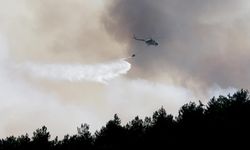 Denizli'deki orman yangınına yoğun müdahale