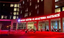 Lastiği patlayan otomobil tarlaya uçtu!