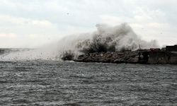 Beykoz'da deniz yasağı!