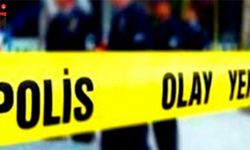 Mardin'de tırın çarptığı kişi hayatını kaybetti