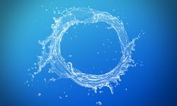 Karadeniz'de insanları gülme krizlerine sokan gazın sırrı sonunda çözüldü