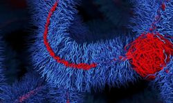 Tüy kadar hafif malzeme bir arabayı çekebiliyor