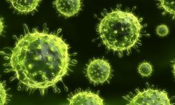 Yeni bir virüs yayılıyor
