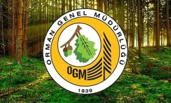 Orman Genel Müdürlüğüne 496 personel alımı için başvurular başladı! Lisans, Ön lisans, Lise mezunu