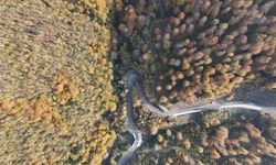 Sinop'un doğa güzelliği gözleri kamaştırdı