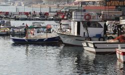 Marmara Denizi'ndeki bolluk balıkçıları Tekirdağ açıklarına çekti
