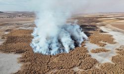 Tamamen kuruyan Gökgöl sazlıkları 2 gündür yanıyor
