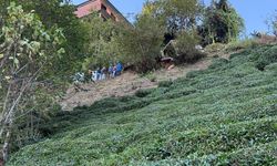 Yamaçtan devrilen serenderin altında kalan 1 kişi öldü