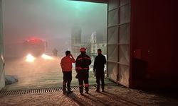 Edirne'de palet fabrikasında yangın