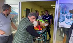 Mantar toplarken ayı saldırısına uğrayan imam yaralandı