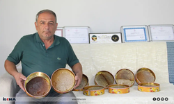 Başarılı bal üreticisi kaliteli balın sırrını açıkladı