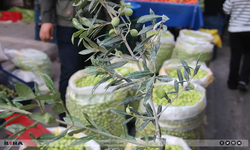 Yeşil zeytinde fiyatlar neredeyse saat başı zamlanıyor!