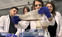 Balık bayat mı değil mi? Balığın tazeliğini artık elektronik burun bilecek