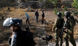 Filistinli çiftçilere saldırı!