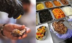 Zehirlenmelere Dikkat! Zehirlenme belirtlileri neler? Besin zehirlenmesi nasıl olur, nasıl anlaşılır? İşte ayrıntılar