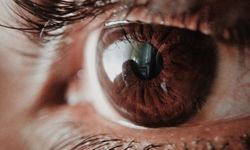 750 Bin kişiye glokom tanısı konuldu!