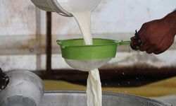 Çiğ süt tavsiye fiyatı belli oldu!