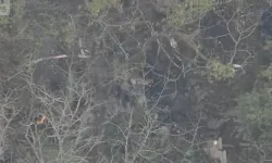 Küçük uçak düştü: 3 ölü