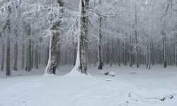 Meteoroloji uyardı: Kuvvetli yağış ve kar geliyor