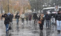 Mevsimin ilk karı yağdı!