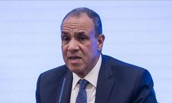 Mısır ABD ve bölge ülkeleriyle görüştü