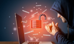 Dev veri sızıntısı: 1.3 milyar şifre ve 2 milyar mail ifşa oldu