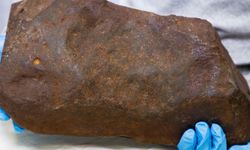 Bahçenizi iyi inceleyin.. Taşı altın sanıp sakladı, altından daha değerli çıktı