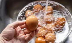 Yumurta yıkanır mı? İşte herkesin merak ettiği sorunun cevabı