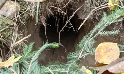 İki ülke arasına tünel kazıldı: Tünellerden geçiş yapıyorlar