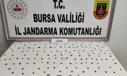 Bursa'da tarihi eser operasyonu!