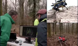 6G destekli robot köpekler orman yangınlarını yapay zeka ile önceden tespit edecek