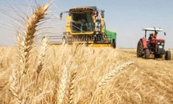 Güneydoğu hububat sektöründe yine lider!