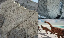 200 milyon yıllık tarihi keşif: Binlerce dinozor ayak izi dikey kayalarda ortaya çıktı